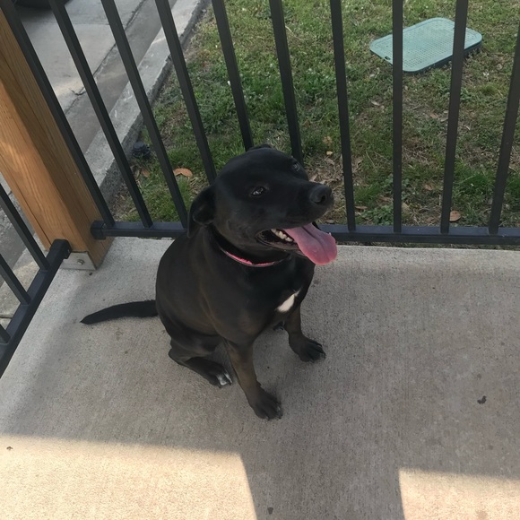 Going off to college sale! 🏫 Make offers! I will not get offended by any offer✨ - Picture 7 of 7